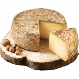 tomme-de-montagne