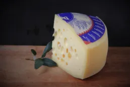 Dolomitenkoenig